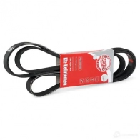Приводной ремень, поликлиновой MASTER-SPORT 6 PK 2113 6pk2115pcsms 6 PK 2114 2721098 - Изображение 2