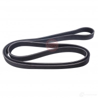 Приводной ремень, поликлиновой MASTER-SPORT 6 PK 1869 2721079 6pk1870pcsms 6 PK 1868 - Изображение 3