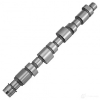 Распредвал ZIKMAR I 9ALFE z18035r 1440238818