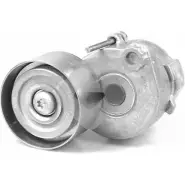 Натяжной ролик, поликлиновой ремень HUTCHINSON AS66D I TK043 PKTCTQ 1988258
