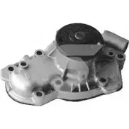 Водяной насос, помпа HUTCHINSON WP111 1O8I 2 1988361 YYC8CK