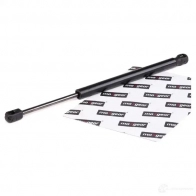 Амортизатор багажника, упор задней двери MAXGEAR 1437620489 SA6 NZ8S 122008 - Изображение 2