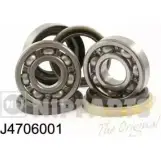 Подшипник ступицы колеса NIPPARTS J4706001 2039388 Q ZB48J 8711768061890