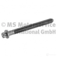 Болт гбц, головки блока цилиндров BF P9 13V 4028977798856 20080510139 1226469487