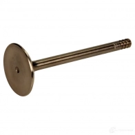 Впускной клапан AMP 1437295901 pvwg033s0n X NGP7NX