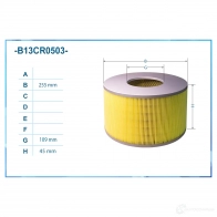 Воздушный фильтр CWORKS B13CR0503 6 2XL1MS 1439699203 - Изображение 2