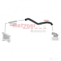 Шланг радиатора METZGER AGRO T 2420281 1424793383 4062101025265 - Изображение 2