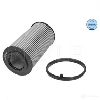 Масляный фильтр MEYLE M OF0043 EVWP1 1410495 100 115 0016 - Изображение 5