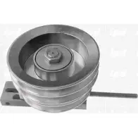 Натяжной ролик, клиновой ремень IPD IHWCJN6 15-3201 2144350 V 3TLV