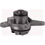 Водяной насос, помпа FAI AUTOPARTS WRRLIP W6SR UF7 WP6530 2179584