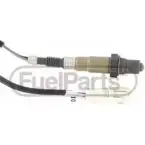 Лямбда-зонд STANDARD 5SZQ X LB1846 Ford Fiesta 4 (DX, JA, JB) Хэтчбек 1.2 5 i 16V 75 л.с. 1995 – 2002 XGMGMY