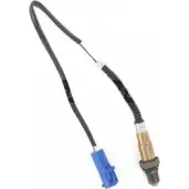 Лямбда-зонд STANDARD LLB508 Ford C-Max 1 (CB3, DM2) Минивэн 1.6 Duratec 100 л.с. 2007 – 2010 N4PH9UL EQOA A8K