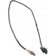 Лямбда-зонд STANDARD LLB612 1VYYT XK08 G 2234419