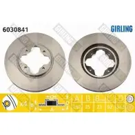 Тормозной диск GIRLING X5G N6 6030841 3322937460250 2290218