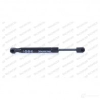 Амортизатор капота MONROE IGYG9 T5 5412096457289 ML6037 498343 - Изображение 10