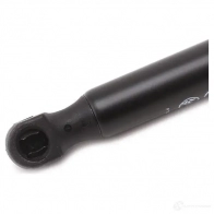 Амортизатор капота MONROE 498049 5412096347597 EP7K V5M ML5689 - Изображение 5