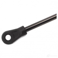 Амортизатор капота MONROE 498039 B 2LP2VV ML5679 5412096347498 - Изображение 6