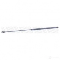 Амортизатор капота MONROE 498039 B 2LP2VV ML5679 5412096347498 - Изображение 12