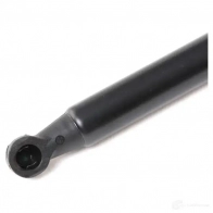 Амортизатор капота MONROE 498163 5412096348730 TM03 R ML5803 - Изображение 5