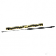 Амортизатор капота MONROE 5412096347184 498008 01R DB ML5648 - Изображение 2