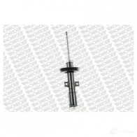 Амортизатор MONROE 5412096079092 490738 E4619 J 6XJM3 - Изображение 2