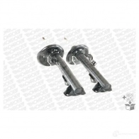 Амортизатор MONROE IA PPYO 491007 E7032 5412096166358 - Изображение 6