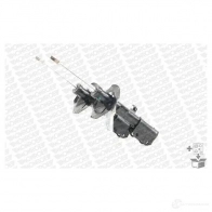 Амортизатор MONROE 490990 IXB120 K 5412096095245 E7008 - Изображение 2