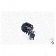 Амортизатор MONROE 491671 5412096314469 G7309 DWK P9 - Изображение 5