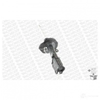 Амортизатор MONROE QGN Y97 742238SP 1208252235 - Изображение 2