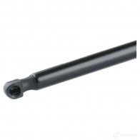 Амортизатор багажника MONROE 1WG P1H ML5307 5412096343773 497668 - Изображение 5