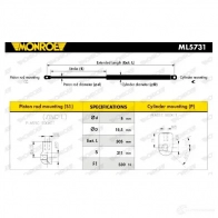 Амортизатор багажника MONROE 498091 5412096348013 X1 B162 ML5731 - Изображение 6