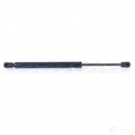 Амортизатор багажника MONROE ML5442 5412096345128 V O0SN 497803 - Изображение 5
