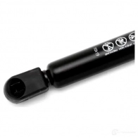 Амортизатор багажника MONROE 497404 ABHB WS 5412096341083 ML5038 - Изображение 6