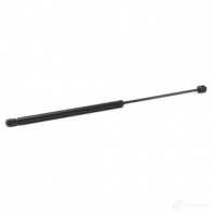 Амортизатор багажника MONROE EVPL7 X ML5770 5412096348402 498130 - Изображение 4