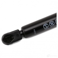 Амортизатор багажника MONROE EVPL7 X ML5770 5412096348402 498130 - Изображение 5