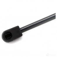 Амортизатор багажника MONROE G FRWKL8 ML5831 498191 5412096349010 - Изображение 5