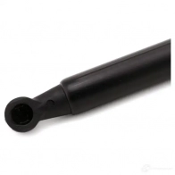 Амортизатор багажника MONROE G FRWKL8 ML5831 498191 5412096349010 - Изображение 6