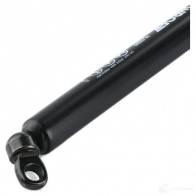 Амортизатор багажника MONROE ML5590 497950 5412096346606 B2 AVID4 - Изображение 5