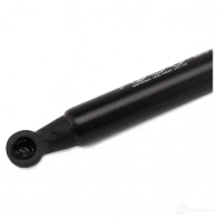 Амортизатор багажника MONROE 5412096342332 ML5163 WI QYW3 497524 - Изображение 6