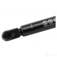 Амортизатор багажника MONROE 5412096346002 497890 5ICF RNX ML5530 - Изображение 5