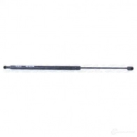Амортизатор багажника MONROE 497905 ML5545 5412096346156 A9 GW4 - Изображение 6