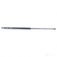 Амортизатор багажника MONROE 7 DREOM 497949 ML5589 5412096346590 - Изображение 16