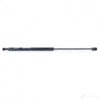 Амортизатор багажника MONROE 5412096344473 497738 ML5377 DYTI F - Изображение 12
