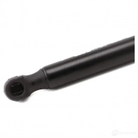 Амортизатор багажника MONROE S5BB6 K ML5918 498248 5412096458903 - Изображение 6