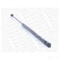 Амортизатор багажника MONROE ML5756 EAXN GEW 5412096348266 498116 - Изображение 9