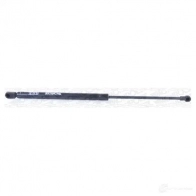 Амортизатор багажника MONROE ML5485 497845 5412096345555 5 RAIYVO - Изображение 17