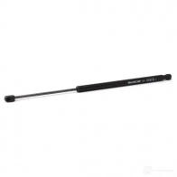 Амортизатор багажника MONROE FTT DDM ML5119 5412096341892 497480 - Изображение 3