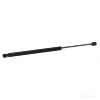 Амортизатор багажника MONROE FTT DDM ML5119 5412096341892 497480 - Изображение 4