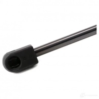 Амортизатор багажника MONROE FTT DDM ML5119 5412096341892 497480 - Изображение 5