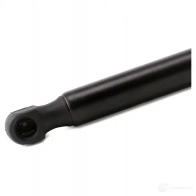 Амортизатор багажника MONROE FTT DDM ML5119 5412096341892 497480 - Изображение 6